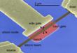 Efficient Mass Production of Nanoelectromechanical Resonators