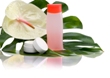 FKuR Kunststoff to Exhibit Variety of Biodegradable Plastics at Fakuma 2012