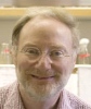 New Technique to Measure Length Distributions in Nanotube Batches