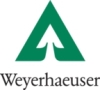 Weyerhaeuser Launches Thermoplastic Composite Reinforced with Sustainable Cellulose Fiber