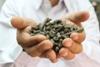 Applied Cleantech’s New Technology Converts Sewage Waste into Sustainable Raw Materials