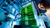 New Technology Shows Promise for Producing Biosynthetic Natural Gas