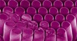 Crackling Behavior of Materials Tracked with Atomic-Scale Precision