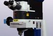 CRAIC Offers Raman Spectral Libraries with Apollo Raman Microspectrometers