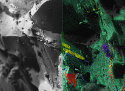Quartz Imaging Introduces ON-X Take Off Angle Detector for XOne X-Ray Microanalysis System