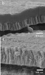 Polymer Implants Successfully Coated with Bioactive Film