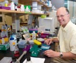 Researchers Explore Alternate Theory for Origin of RNA