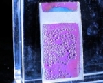 Artificial Leaf Utilizes Sunlight to Produce Storable Fuel