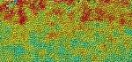 Researchers Discover Coexisting Structural States in Glass Using X-Rays