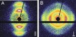 Researchers Discover Unexpected Re-Orientation of Small Particles in Thin Capillaries