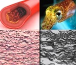 New Model Helps Develop Smart Composite Materials with Wrinkled Microstructures