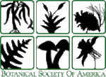 New Visikol Formulation Effectively Clears Organisms to be Viewed Under Microscopes