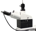 WITec RayShield Coupler Lets Microscopes Capture Raman Spectra Within 10cm-1 of Rayleigh Line