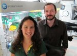 Selective Probe Detects Hydrogen Sulfide at Nanomolar Levels