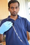 CustomCustomized Thin, Flexible Glass Stores Energy ized Thin, Flexible Glass Can Store Energy