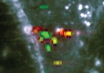 Feature-Based Recognition Of Surface-Enhanced Raman Spectra Enabled By New Data Processing Protocol