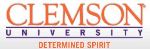 Leading Scientists Hosted by Clemson at International Conference on MacroMolecular Complexes