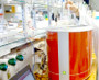 Magritek Spinsolve Benchtop NMR Used at Temple University for Education and Research