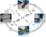 Spanish Scientists Reported First Self-Healing Polymer Called Terminator
