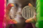 Synthetic Biology Helps Analyze Interference of Biochar on Microbial Signaling