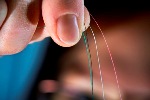 New Joint Research Project to Develop Cellulose-Based Products
