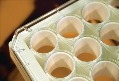 Next Generation Krystal Glass Bottom Plates Perfect for Imaging Growing Cells