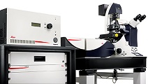 See the Full Spectrum of Life with the New Leica TCS SP8 STED 3X Platform