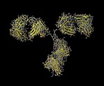 Monoclonal Antibody Characterization Demonstrated In Malvern Application Note
