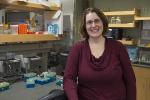 Physicists Endeavor to Uncover Fundamental Physical Laws Governing Behavior of Cellular Materials