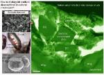 Jack Hills Zircons Contain Fragments of Diamond-Polishing Compound, Not Diamonds