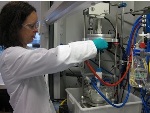 Asynt Vortex Overhead Stirrer System Enables Rapid Screening of Reaction Conditions in Parallel