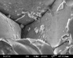 New Class of High Heat-Tolerant Electronics Using Supercapacitors
