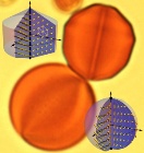 Researchers Study Novel Type of Liquid Crystal that Dissolves In Water