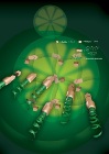 Clickable Biodegradable Elastomer Design May Expand Application of Biodegradable Polymers