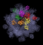 Crystallography Symposium to be Hosted by Rice and Gulf Coast Consortia