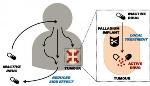 Modified Chemotherapy Drugs Remain Inactive Until They Come into Contact with Palladium Implant