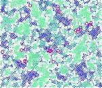 Novel Method Enables Study of Stress, Simultaneously, at the Macro and Micro Scales