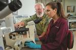 WPI Leads New Multi-University Project to Develop Better Alloys for Military Vehicles