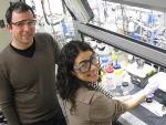 New Method to Design Better Catalysts to Speed Reactions