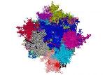 Efficient Numerical Method to Study Behaviour of ‘Ring’ Polymers