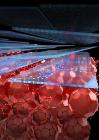Organic Solar Cells with Molecules in Face-On Orientation Demonstrate More Efficiency