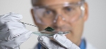 PANalytical Offers Free Webinar on Total Scattering Technique and PDF Analysis