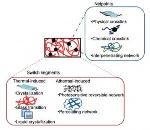 Nanyang Researchers Presented Review Article Surveying Clinical Applications of Shape Memory Polymers