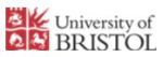 Bristol University Cabot Institute Director Receives Royal Society Chemistry 2014 Interdisciplinary Prize