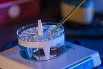 Novel Thermogelling Hydrogel for Delivery of Stem Cells