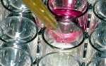 Fraunhofer Develops Bone Substitute with Integrated Protection Against Infection