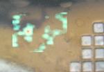 Simple, Direct Study of Crystals Inside Cells Performed Using X-Ray Analysis