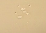 BASF Introduces High Build, Exterior Protective Coating, Tersus Color Coat