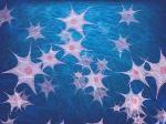 Disappearing Hydrogels Show Promise for Faster and Better Tissue Regeneration
