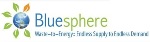 Bluesphere’s 5.2 MW Waste-to-Energy Project in Charlotte Receives Air Permit